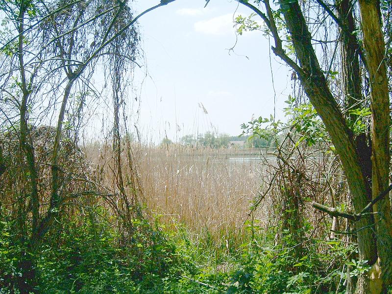 20120501 044.jpg